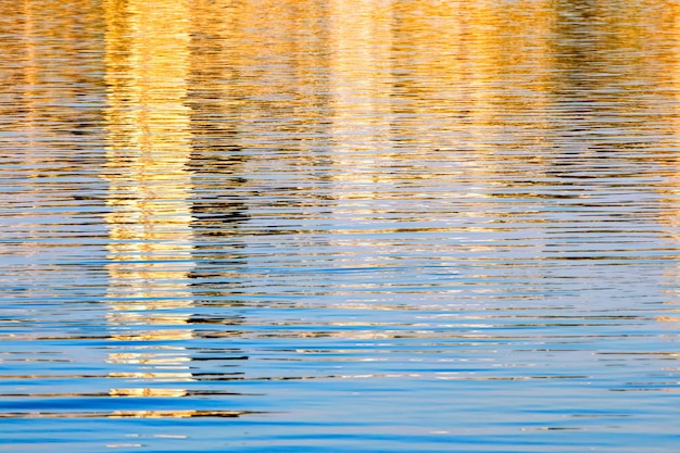 Agua con ondas y reflejo