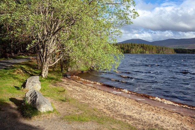 Agua picada en Loch Garten en Escocia