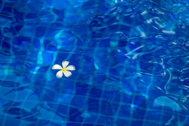 Agua en la piscina que refleja la luz del día.