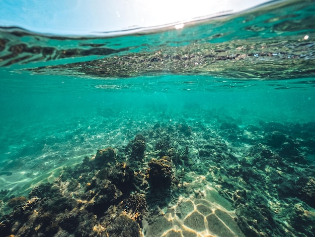 Bajo el agua en la playa de la isla.