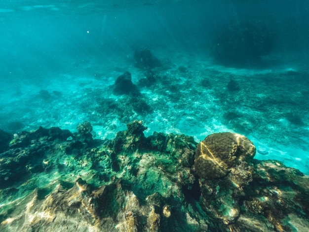 Bajo el agua en la playa de la isla.