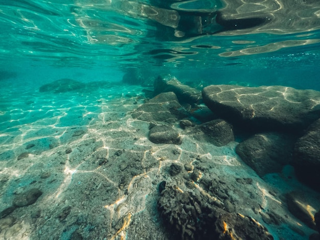 Bajo el agua en la playa de la isla.