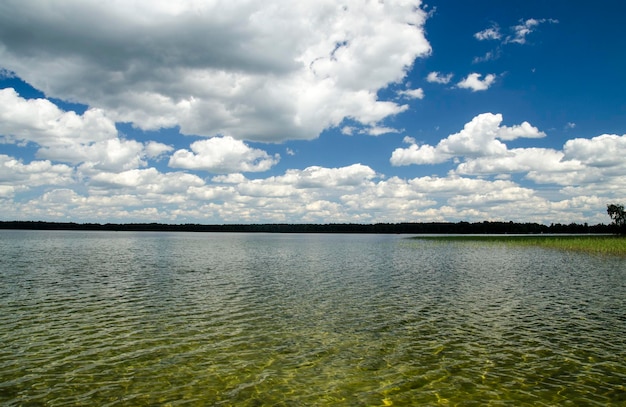 Agua pura del lago de verano y hermosos paisajes de la naturaleza.