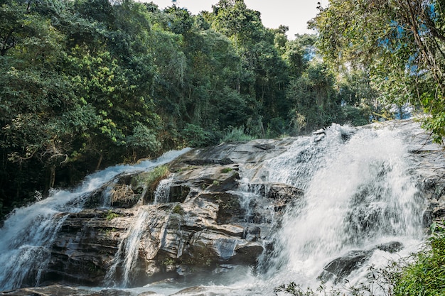 Agua que cae entre las rocas de una cascada a la sombra de los árboles de la selva.