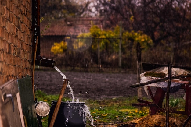 El agua que cae de la tubería en el barril en un día de lluvia