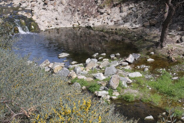 El agua que fluye en el arroyo en la montaña