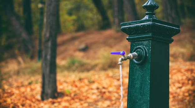 Agua que fluye de un grifo en un parque en invierno