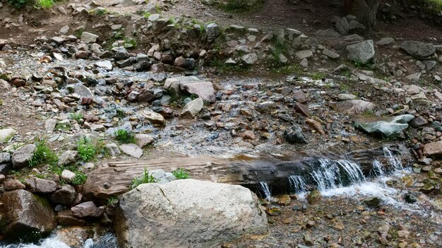 Foto agua que fluye de un tronco