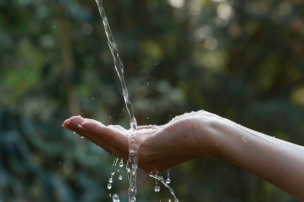 Agua que vierte a mano con la naturaleza borrosa.