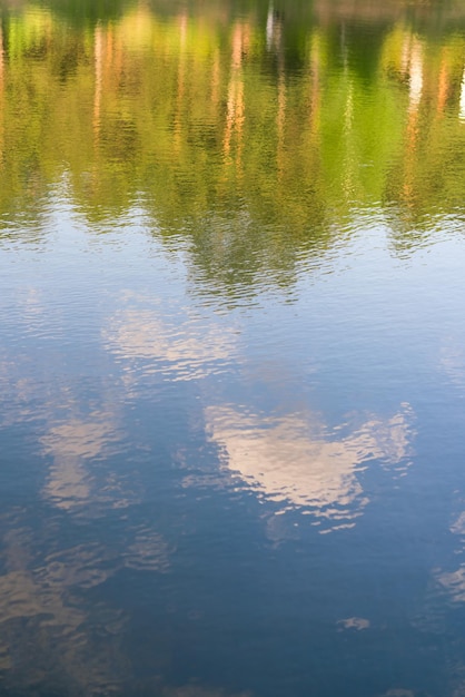 Agua con el reflejo de los árboles y el cielo.