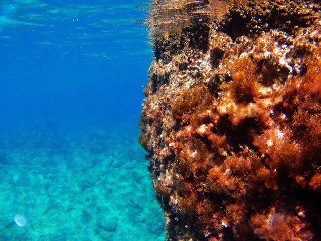 Foto bajo el agua en rodas, grecia