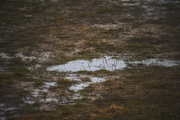 Agua en el suelo alcantarillado y problemas de drenaje fuertes lluvias
