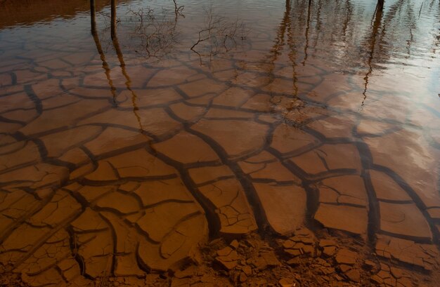 Foto agua en tierra agrietada