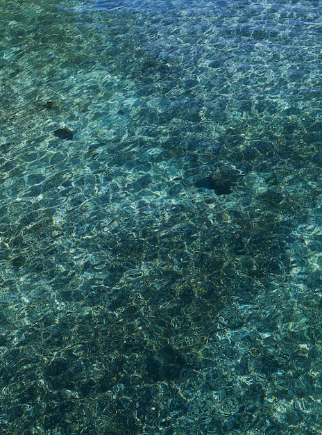 Foto agua turquesa en el lago de ginebra