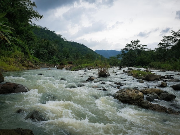 Água verde azul entre floresta e costa rochosa