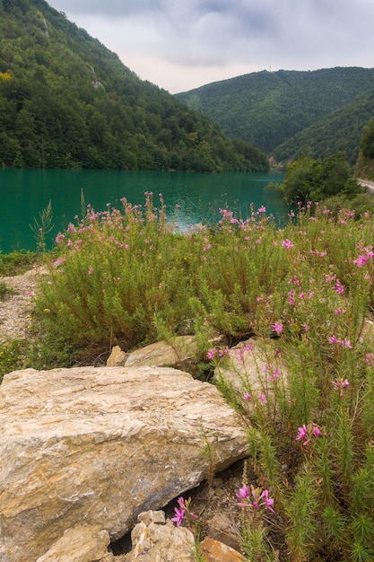 Água verde-esmeralda no rio e flores roxas em um fundo de montanhas arborizadas