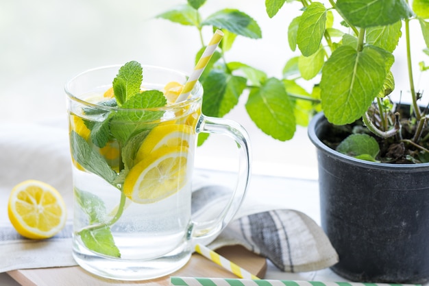 Agua de vitamina infundida de fruta con limón fresco y menta