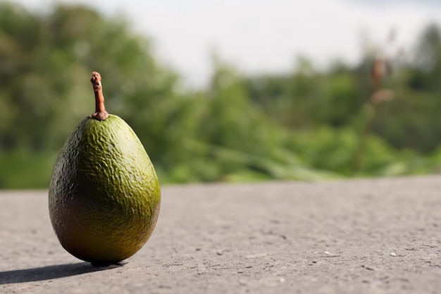 Aguacado aislado sobre un fondo blanco