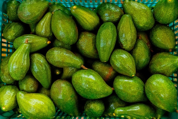 Aguacate maduro fresco en el mercado asiático