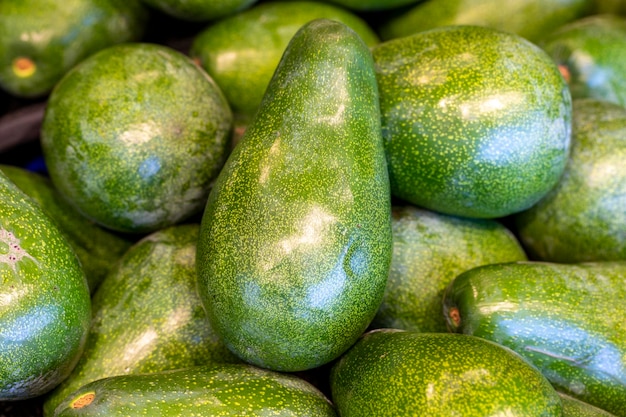 Aguacate maduro en el mostrador del mercado Montón de frutas exóticas de aguacate