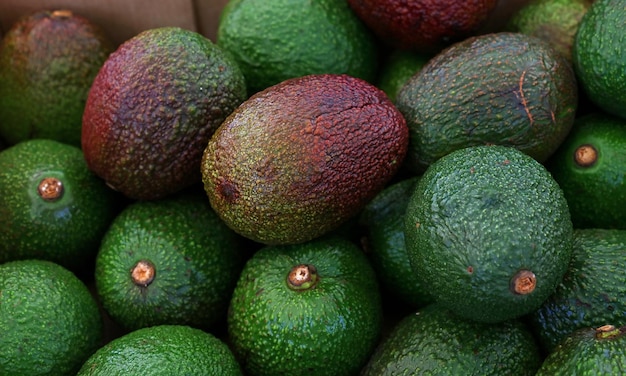 Aguacate verde y púrpura fresco en exhibición al por menor