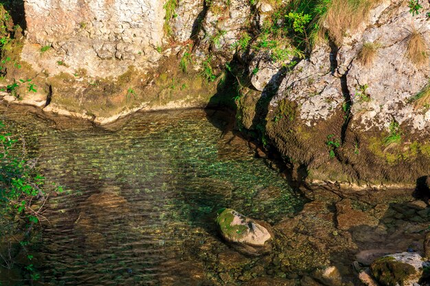 Águas cristalinas do rio da montanha provenientes do degelo.