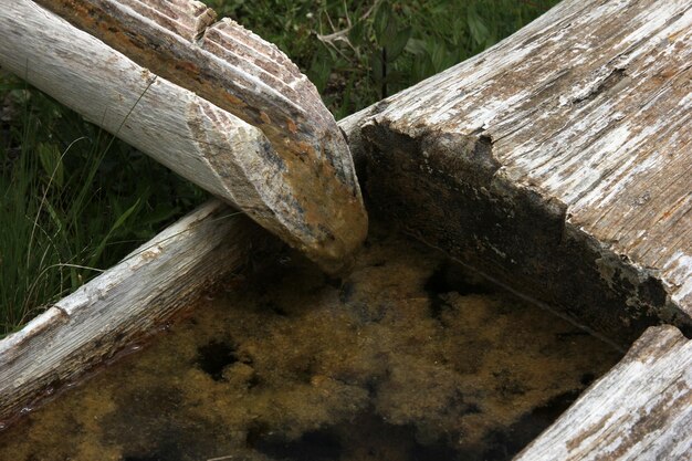 aguas frescas de montaña