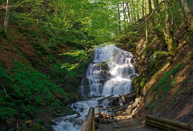 Águas frias da poderosa cachoeira shypot. bela paisagem de verão da natureza entre a floresta. um dos locais mais visitados nas montanhas dos cárpatos da ucrânia