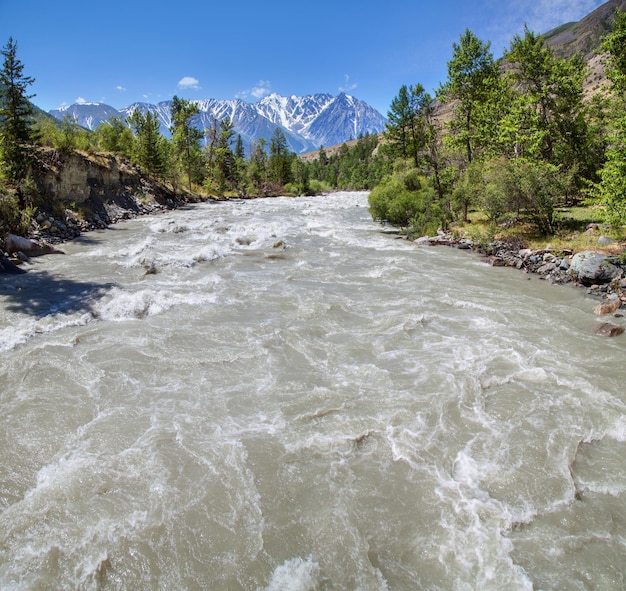 Aguas tormentosas de un manantial de río de montaña