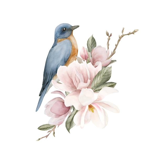 Águila azul en una rama con flores de magnolia de color rosa claro Ilustración en acuarela para etiqueta de impresión