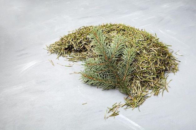 Agujas secas caídas del árbol de Navidad natural como alimento para animales Limpieza después de Navidad