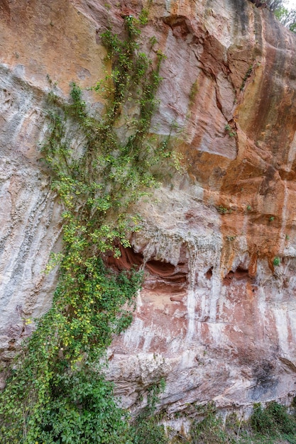 Agujeros en piedra Tafoni meteorización en arenisca roja