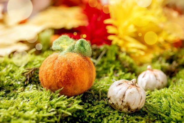 Agulha de lã feltrando abóbora de halloween em musgo. saudação sazonal de outono