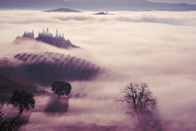 Ahogado en la niebla