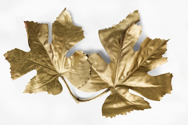 Ahornblätter in Gold auf einem cremefarbenen Hintergrund gemalt