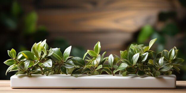 Foto ai generado ai generative green plantas frescas y hermosas en flor en una mesa y pared de madera plantilla decorativa simulada ilustración de arte gráfico