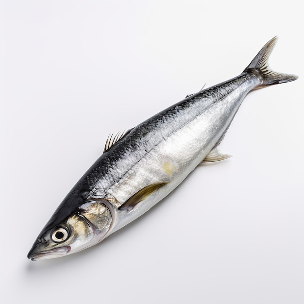 Ai generierte Illustration Sardine auf weißem, isoliertem Hintergrund