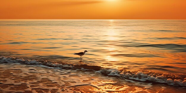 AI Gerado AI Generative Beautifil mar náutico pôr-do-sol praia ilha com gaivota pássaro arte gráfica