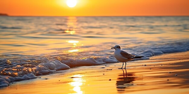 Foto ai gerado ai generative beautifil mar náutico pôr-do-sol praia ilha com gaivota pássaro arte gráfica