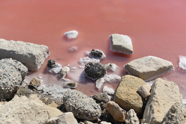 AiguesMortes Salins du Midi Una granja de sal con agua salada rosa