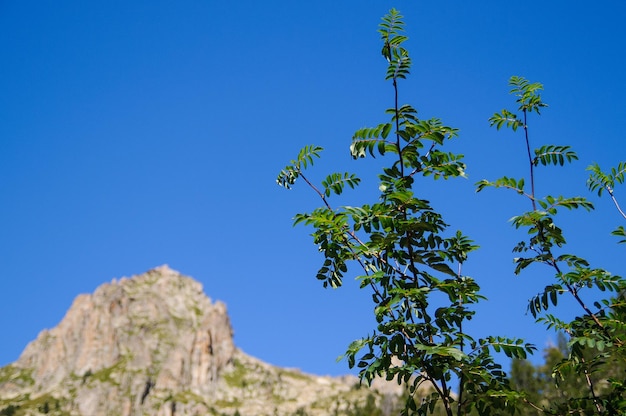 Aiguestortes-Nationalpark