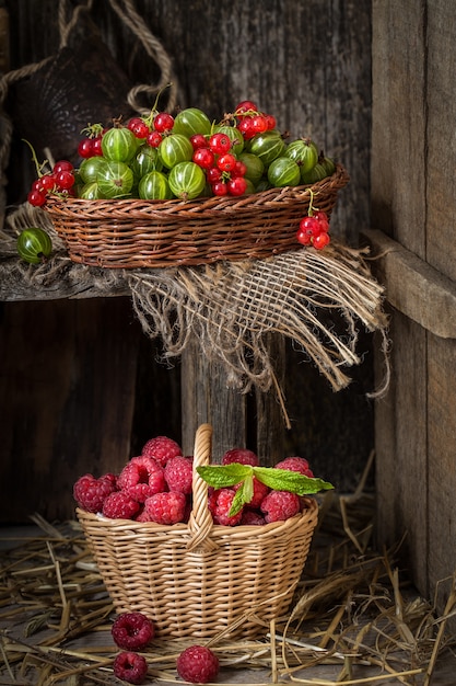 Ainda vida com um balde de frutas diferentes