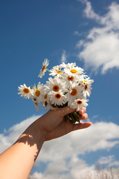 Foto ainda vida de flores de margarida