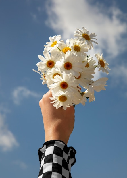 Foto ainda vida de flores de margarida