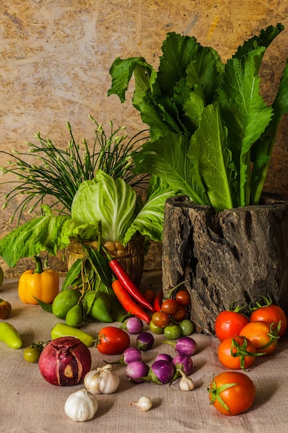 Ainda vida vegetais, ervas e frutas.