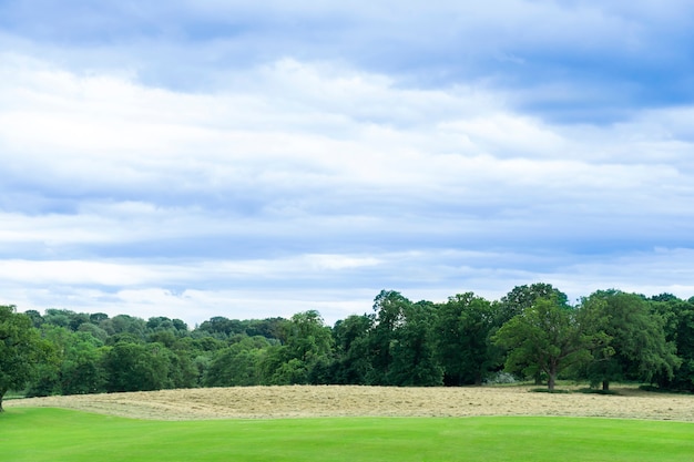 Aire fresco y hermoso paisaje natural de pradera con en primavera o verano. Hermoso paisaje de campo de hierba con árboles forestales y medio ambiente parque público con cielo azul.