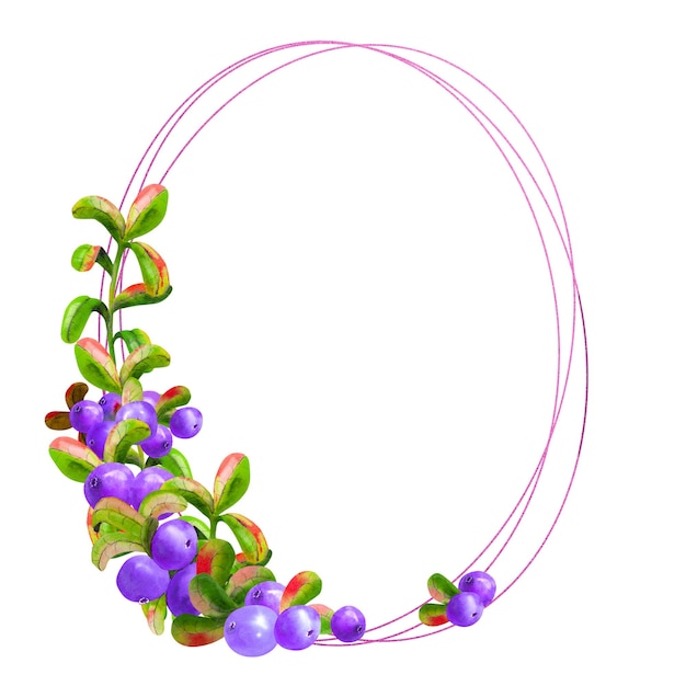 Se aísla un marco geométrico con bayas irgi maduras sobre un fondo blanco. elemento gráfico. Ilustración acuarela