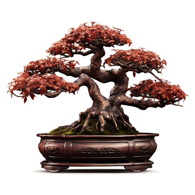 Aislado Arce Japonés Bonsai Árbol Bronce Olla Palmadas Hojas Antiguas en Blanco BG Japón Arte Chino