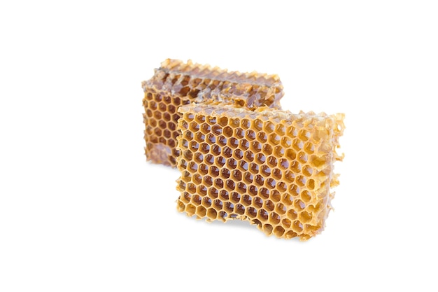 Aislado de cera de abeja, dos piezas de cera con miel