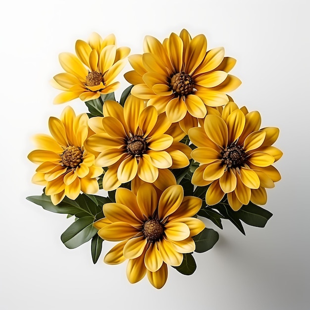 Aislado de Desert Zinnia con su alegre vista superior de flujo amarillo sobre fondo blanco